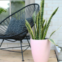 Outdoor Garden Leisure Steel frame Rattan bistro Acapulco Chair Egg Shaped Wicker nest Chair