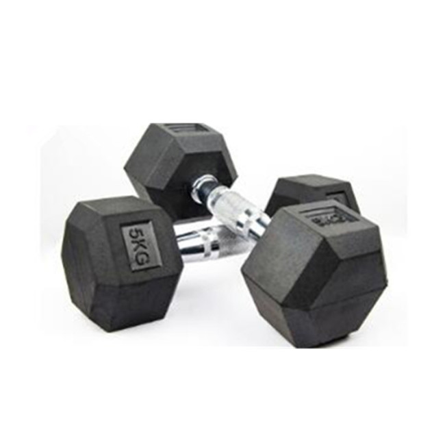 Different weight cast iron dumbbell with test report gym used cheap rubber dumbbell