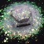 holographic mixed sequin chunky glitter powder for eyes 1 grams a jar package
