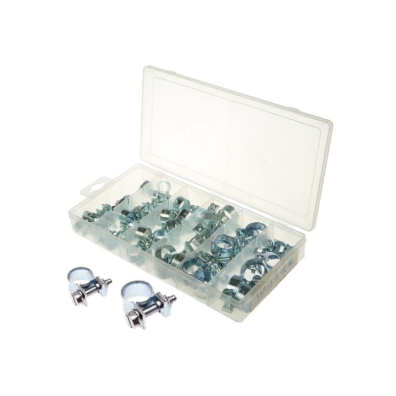 Hot Sale Carbon Steel  56PC Mini Fuel Injection Hose Clamp Assortment