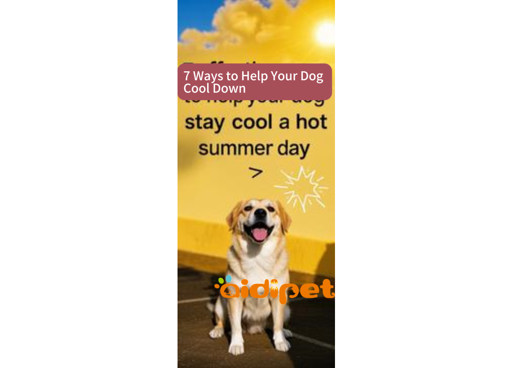 7 Ways to Help Your Dog Cool Down
