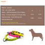 Nuevos accesorios personalizados al por mayor para collar de mascotas para perros y gatos Etiqueta de perro con luz LED anti-perdida