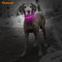Hohles Pfotenmuster Led Blinkendes Hundehalsband PU-Leder Wiederaufladbares Hundehalsband LED