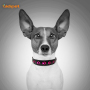 Hohles Pfotenmuster Led Blinkendes Hundehalsband PU-Leder Wiederaufladbares Hundehalsband LED