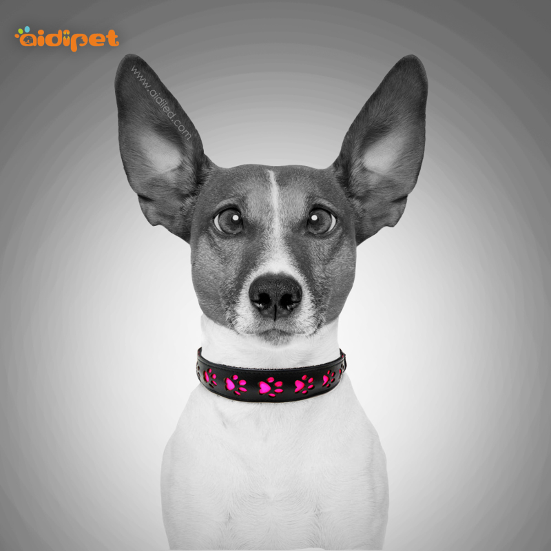 Patrón de pata hueca Led parpadeante Collar de perro Cuero de PU Collar de mascota recargable LED