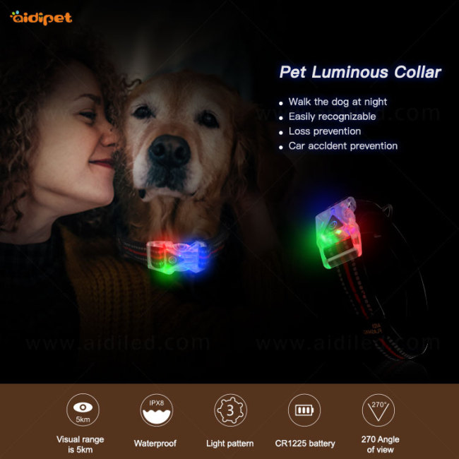 Großhandel Design USB Puppy Belt Wiederaufladbare USB Light Up Led Hundehalsband Ready to ShipFor Dogs