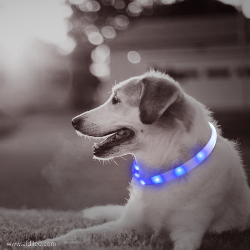 Collar de perro con luz LED impermeable recargable USB en oscuro Collar de silicona ecológica para perros