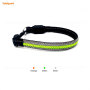Wholesale dog leash lead/ Pet Collar Flashing LED Lighted Dog lead, Dog Harness