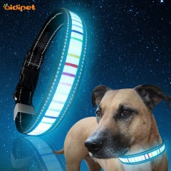 Collier de chien lumineux à rayures colorées dans le noir pour la sécurité nocturne
