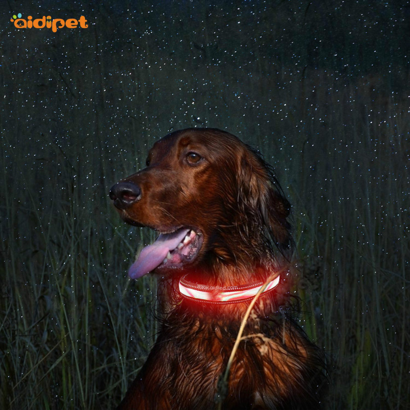 Patrón de onda Led Pet Dog Cat Collar Light Recargable Nylon Collar de perro Correa 2021 Style