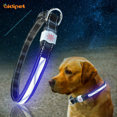 Modèle de vague Led Pet Dog Cat Collier Light Rechargeable Nylon Dog Collar Laisse 2021 Style