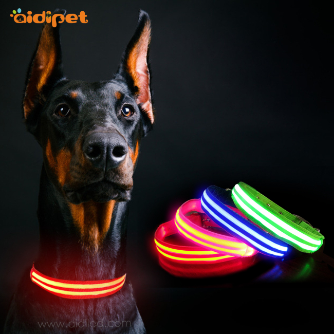 Boucle ardillon en métal collier de chien lumineux puissant avec batterie rechargeable collier de chien avec logo personnalisé