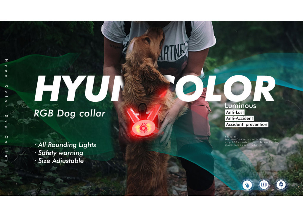 10 лучших производителей светодиодных ошейников для собак в Китае