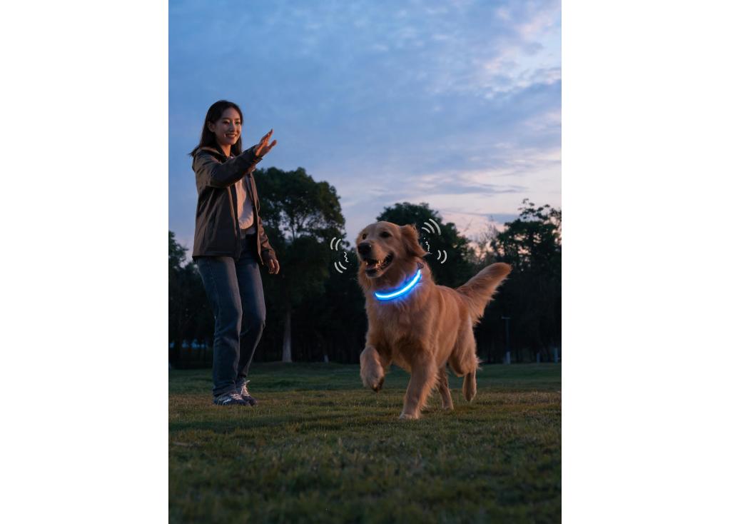 Do LED collars with vibration or sound help in recall training?