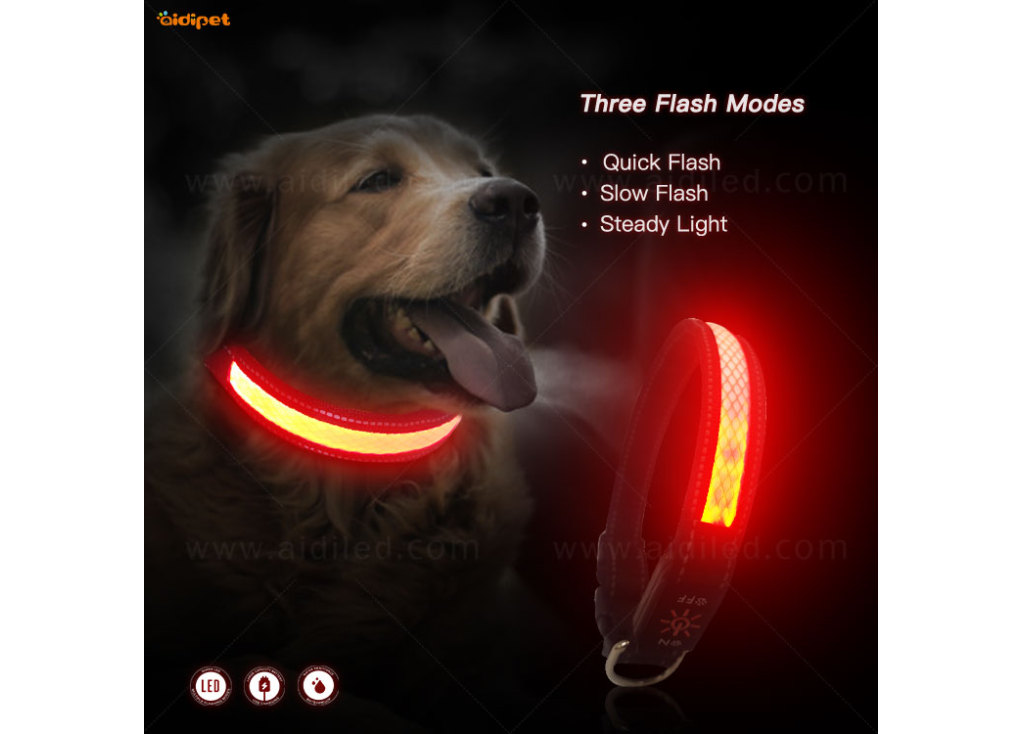 El collar de perro con correas de poliéster LED