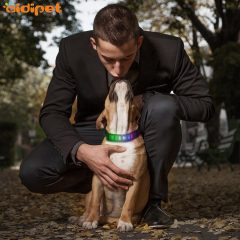 Smart APP Led Controlled Dog Collar DIY Text Led Dog Collar Display Led Collar