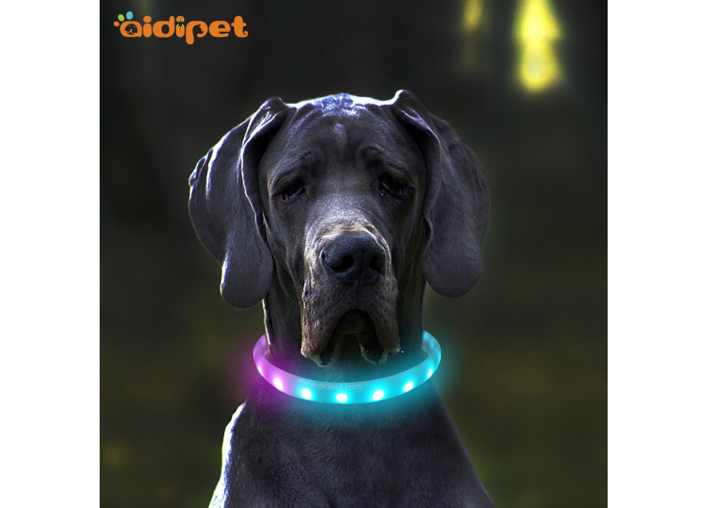 Collar para perros con LED RGB diseñado por Aidi