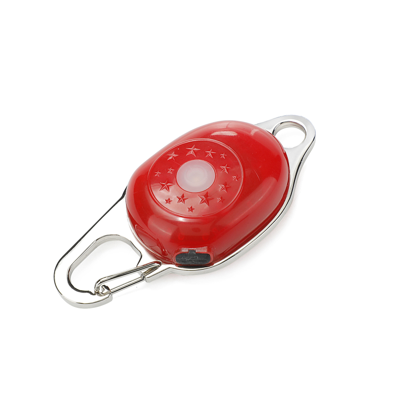LED Fadou Dog pendant (star)  Q6