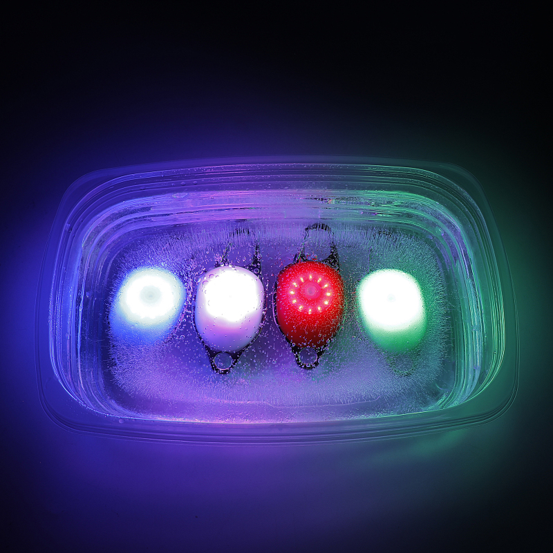 LED Fadou Dog pendant (star)  Q6