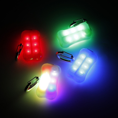 LED Fadou Dog pendant Q7