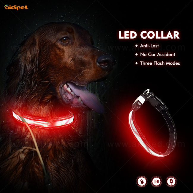 Wellenmuster Led Haustier Hund Katzenhalsband Licht Wiederaufladbare Nylon Hundehalsband Leine 2021 Style