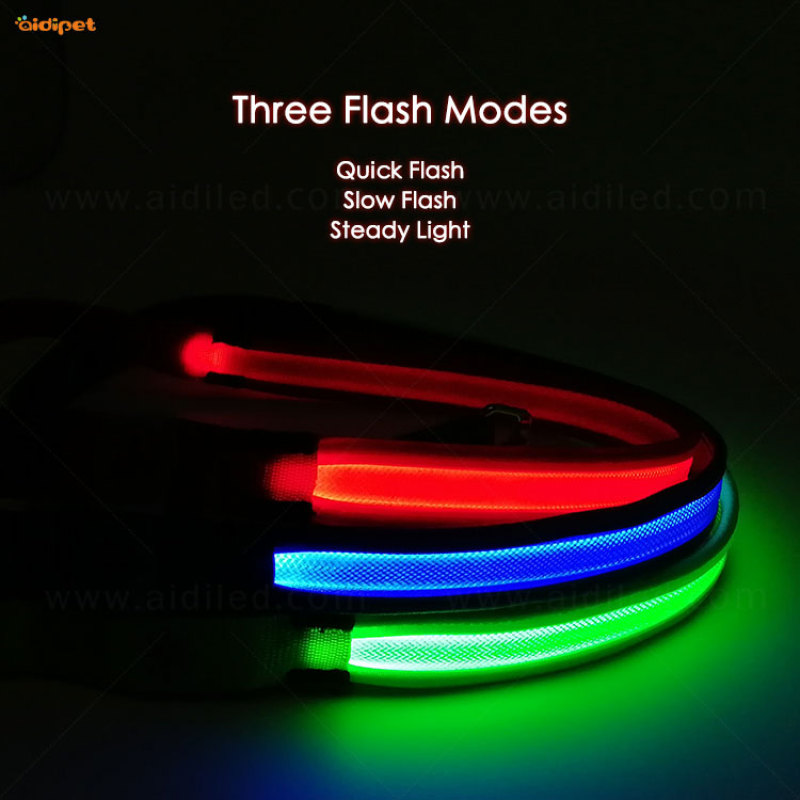 Fish Filament Nylon 2019 Sale Dog Leash with Led Light Rechargeable Red Blue Green Dog Leash Light
