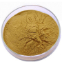 Natural Pure Rhodiola rosea root extract powder rhodiola rosea extract