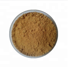 Top quality Natural organic Cordyceps Militaris Extract powder Cordycepin