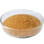 Hot selling high quality Momordica Grosvenori Extract Mogroside V 88901-36-4 with reasonable price and fast delivery