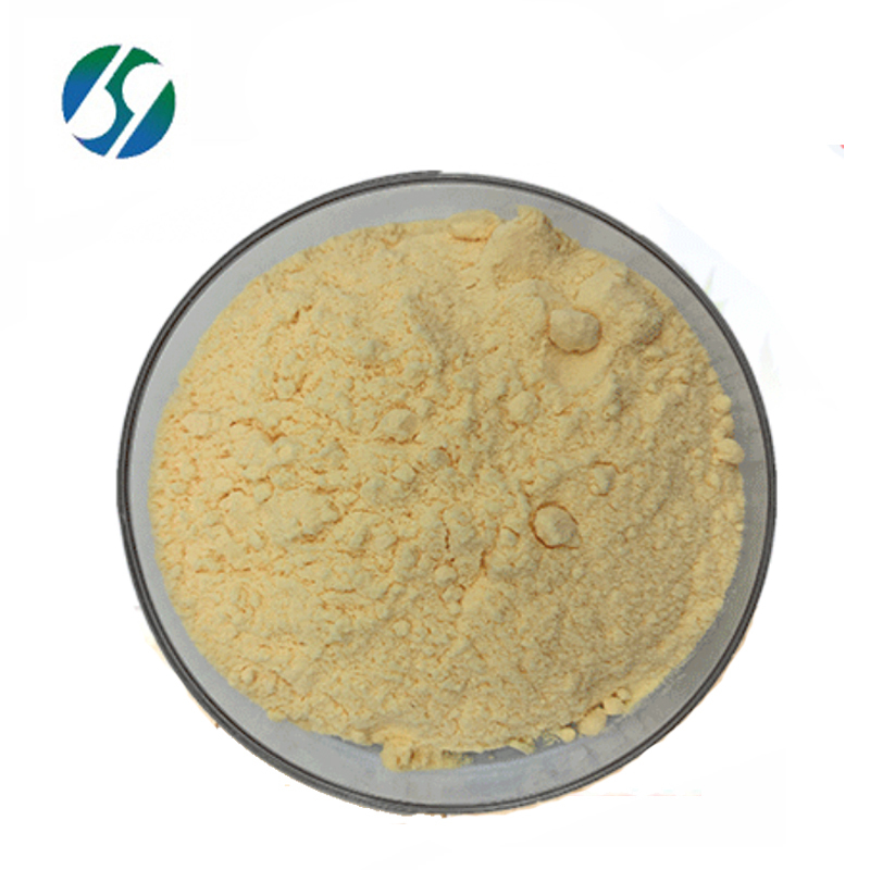 High quality best price food grade Zein 9010-66-6 with reasonable price and fast delivery
