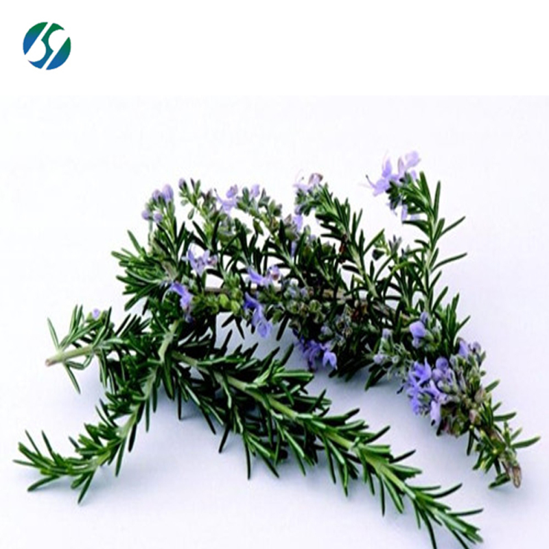 Hot selling high quality Carnosic acid 3650-09-7 with reasonable price and fast delivery !!