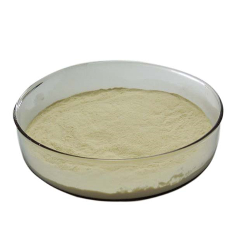High quality soybean extract powder 20% 40% 80% soybean isoflavones