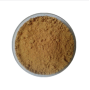 Factory  supply best price red onion extract
