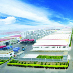 Manufacturer supply best price Aloe Vera Facial Oil