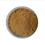 Factory supply high quality Tea tree mushroom extract