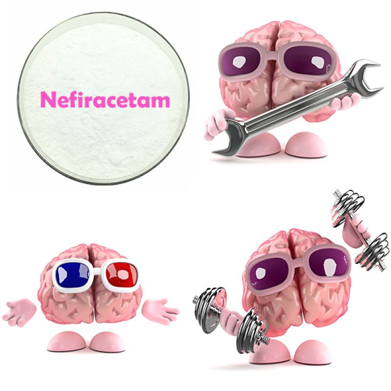 high quality Nootropics 99% Nefiracetam powder CAS 77191-36-7 with best price