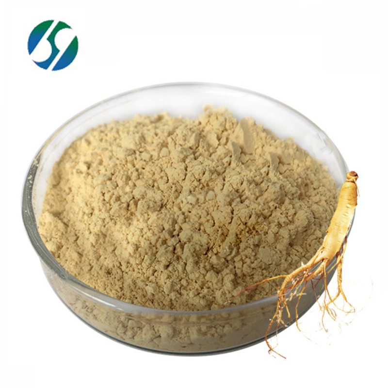 Factory Supply Pure Natural Ginsenoside 1-80% panax ginseng root extract