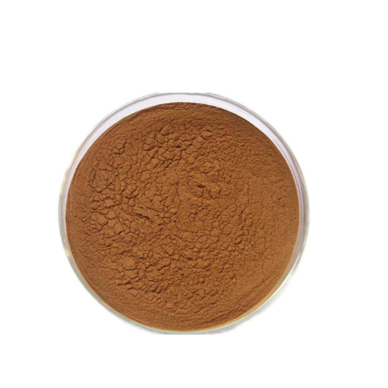 Hot selling  Fisetin powder 98% with best price
