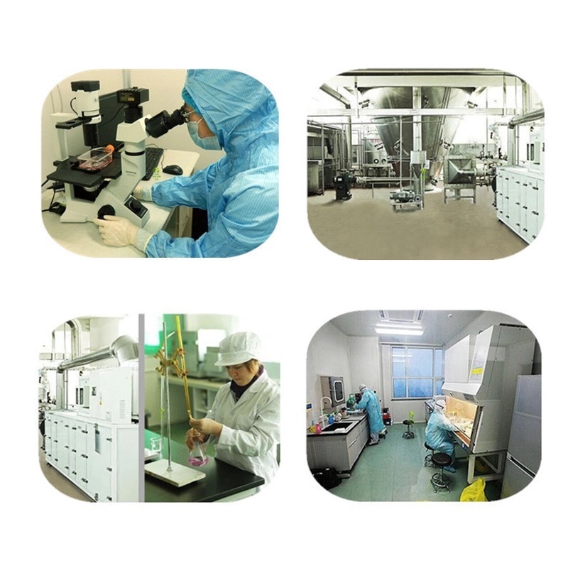 High Quality API Dermorphin powder | 99% Dermorphin  | 77614-16-5  | Dermorphin Acetate