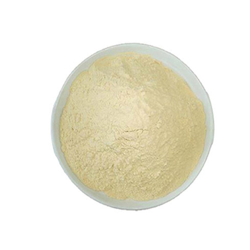 High quality BETA-AMYLASE with best price 9000-91-3