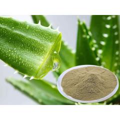 cosmetic grade organic bulk freeze spray dried aloe vera gel powder 200:1