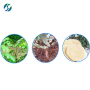 Tongkat Ali Root Extract Powder 200:1 Tongkat Ali Extract