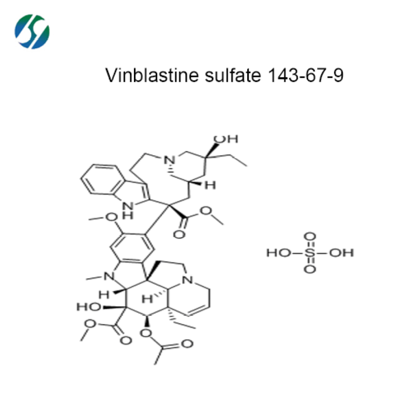 Hot selling high quality Vinblastine sulfate 143-67-9 with reasonable price and fast delivery !!!