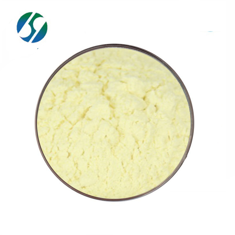 Factory provide high quality amphotericin b with best price 1397-89-3
