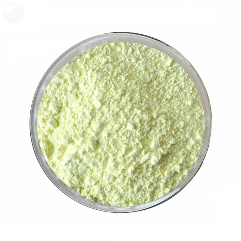 Hot selling Mango Leaf Extract Mangiferin Powder