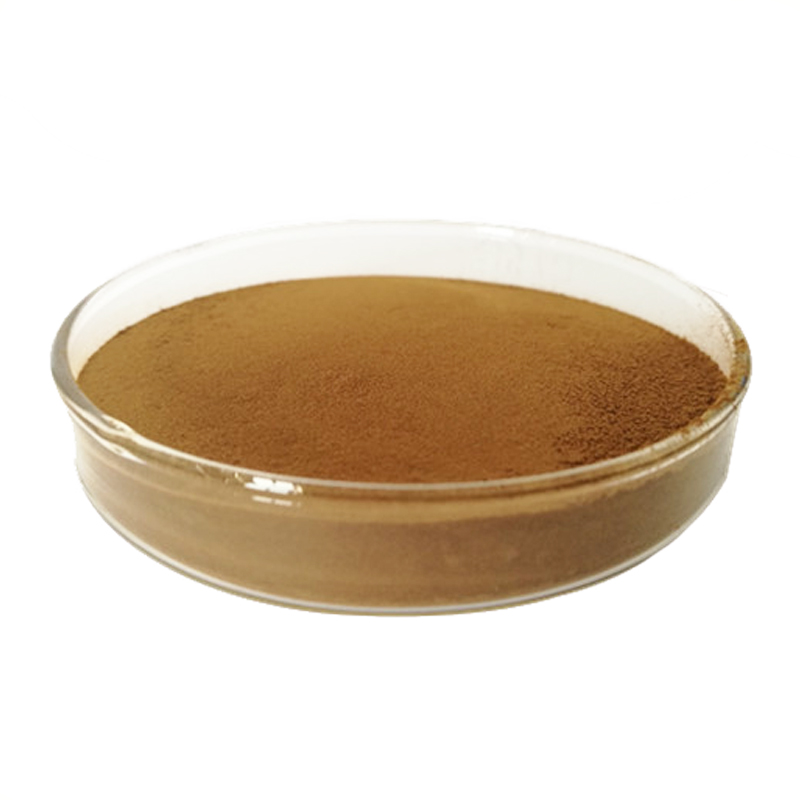 Hot selling high quality Avocado Extract powder