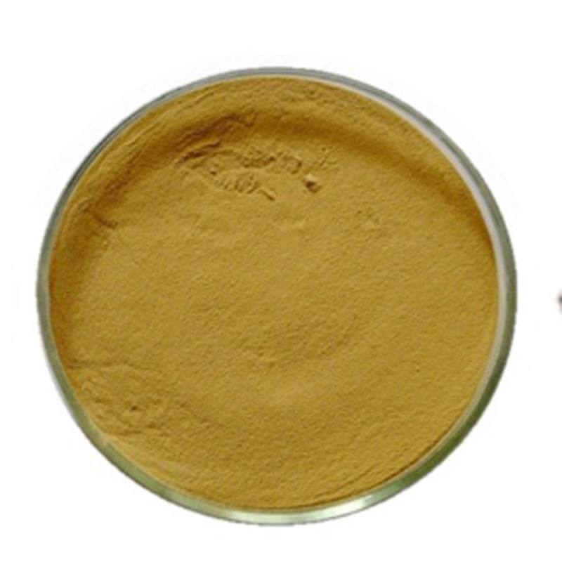 Factory supply high quality black tea powder , black tea extract powder