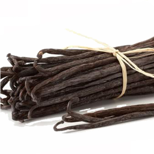 We have plants in madagascar! vanilla beans wholesale / Best price of organic vanilla bean