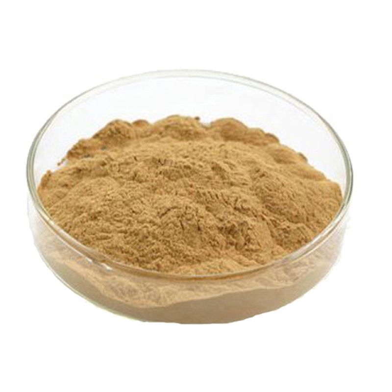 100% Pure Natural Best Price onion extract powder