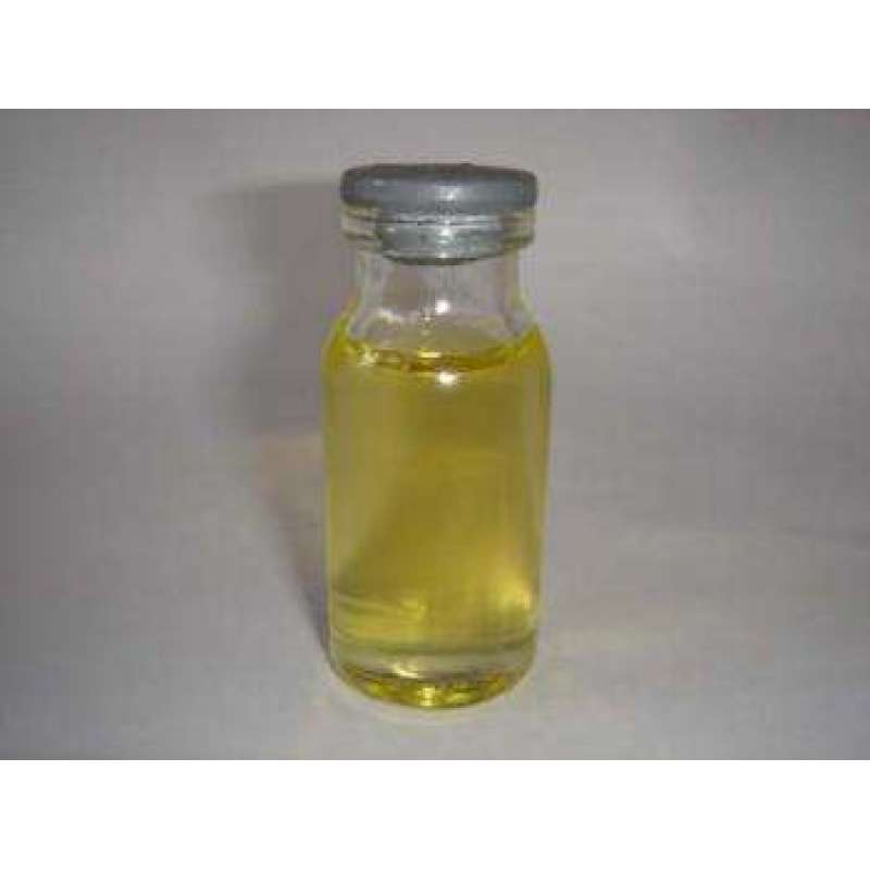 Manufacturer supply notopterygium oil